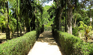 Hue Tours - Full Day in Phuoc Tich