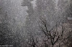 The Sound of Silence: Tirthan Valley