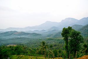 Through the roads of the western ghats - Wayanad
