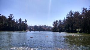 Road Trip to Ooty