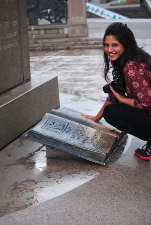 Central Asian Diaries