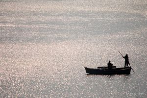Wildlife Loving: Corbett Safari