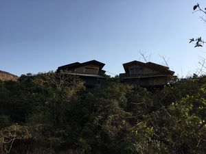 Staycation at Machan, Lonavala: Up in the trees