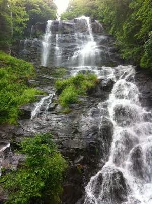 Amicalola: The wonder falls!!