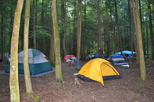 Into the wild : The yogi who camped and hiked