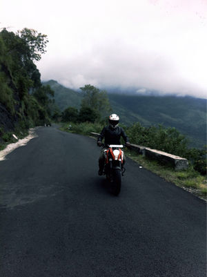 Kodaikanal mushroom trip valley- 1000 kms headshot.