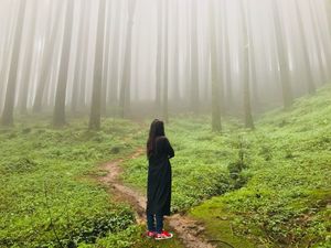 3 days in the lap of queen (Darjeeling)