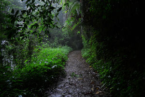North East India #TripotoShoots #SwipeRightToTravel