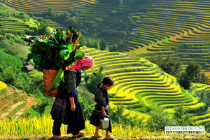 TRULY VIETNAM TOUR 16 DAYS 15 NIGHTS