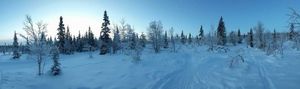 Cap sur le grand nord : Voyage de Noce en Laponie Finlandaise - Goyav