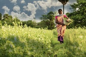दक्षिण भारत का ग्रामीण पर्यटन : कला, संस्कृति और सुंदरता की मिसालें