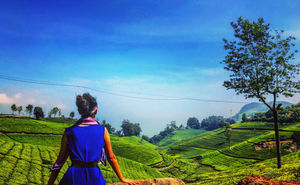YOUR GUIDE TO MAKING MOST OF NILGIRIS...COONOOR, OOTY, KOTAGIRI and WELLINGTON!