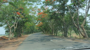 Bastar - The land of whispering Mountains - Chhattisgarh