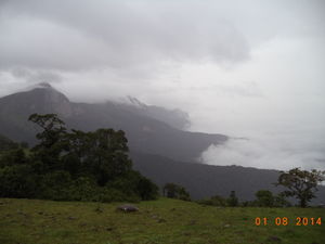 An excuse to escape into nature's nest: GhatiKallu, Chikmagalur