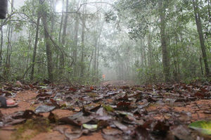 Jogigundi Falls 1/3 by Tripoto