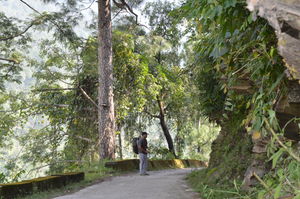 Gomukh, Tapovan - Surge of adventure at the edge of spirituality