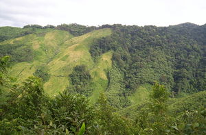 Nokrek National Park- Biosphere Reserve in Meghalaya