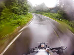 Pluviophile Diaries – Green and Wet Coorg – Mandalpatti