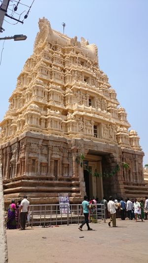 Escape a one-day trip to Mysore from the haunted IT coding life