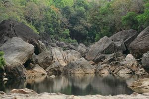 Satpura National Park 1/10 by Tripoto