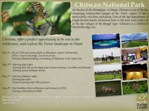 Chitwan National Park Wildlife and Luxury