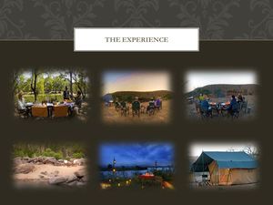 Walk in the Park - Satpura