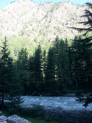 Trippy Tosh. Kalga. Kheerganga. (Parvati Valley)