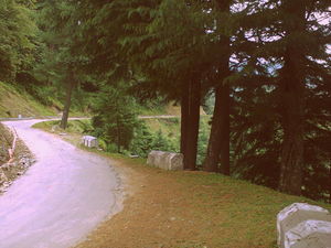 A Road Trip to Prashar Lake