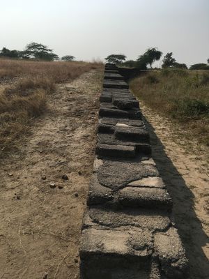 Lothal, Modhera and Adalaj: A 2 Day Trip in Gujarat