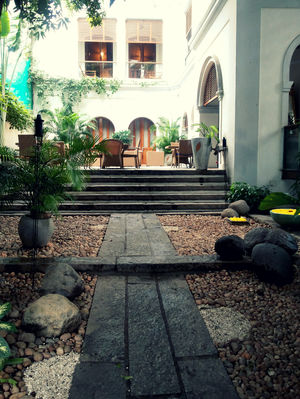 How to Walk Your Legs Off in Pondicherry