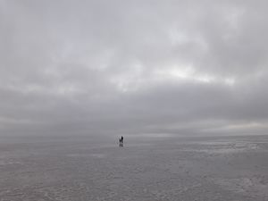 Why Rann of Kutch should be on your bucket list?