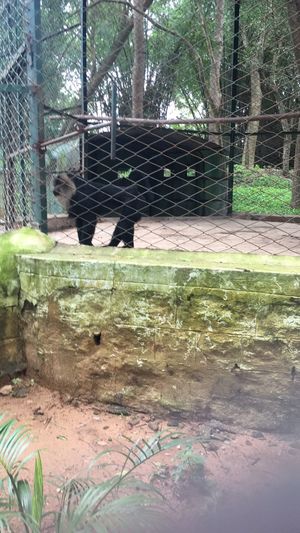 Weekend amidst the wild -Bannerghatta Biological Park