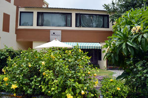 Mulberry Tree Restaurant 1/4 by Tripoto