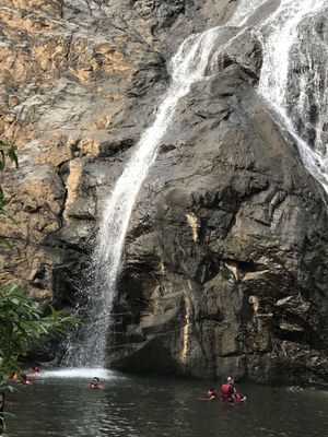 Hidden Gems of Goa Dudhsagar Falls #offbeatGoa