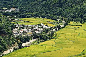 These Photographs From Ziro Music Festival 2016 Will Give You a Serious Case Of FOMO