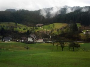 A day in Black Forest
