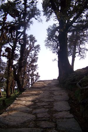 At the Zenith : Chandrashila (en route Tunganath)