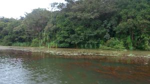Pookode Lake 1/6 by Tripoto