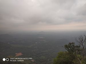 Wayanad, you beauty!