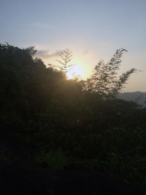 Wayanad, Kerala – A Secret Getaway