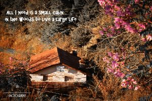 Uttarakhand - The Journey from being speechless to A Storyteller