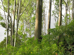 Nandi Hills in the backyard of Bangalore