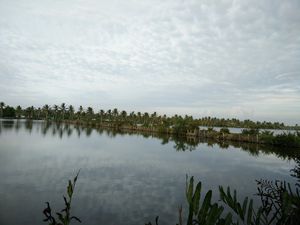 Discover the fascinating waterworld of Kerala