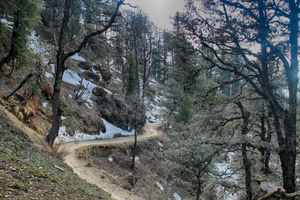 Rafts Rolls and Riders | Tattapani Shimla
