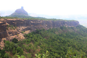 Journey filled with fireflies at Kothaligad, Karjat
