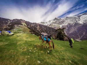 Exploring Himalayas