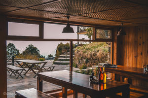 The Green Hideaway of Binsar Forest Retreat #summerescape #IssSummerBaharNikal