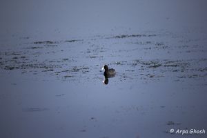 Road Trip to Bidar, Karnataka