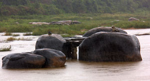 Boulders and Bananas of Hampi