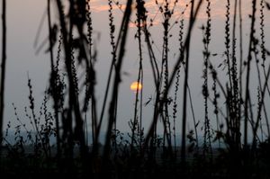 Travels in Mallarpur: The Middle of Nowhere